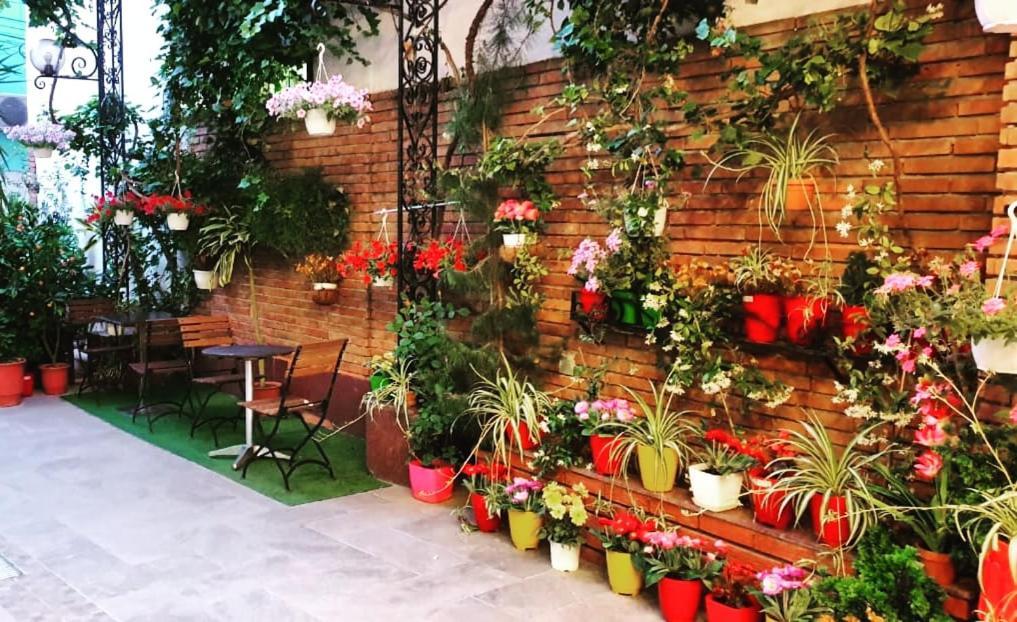 טיראנה Hotel Livia מראה חיצוני תמונה