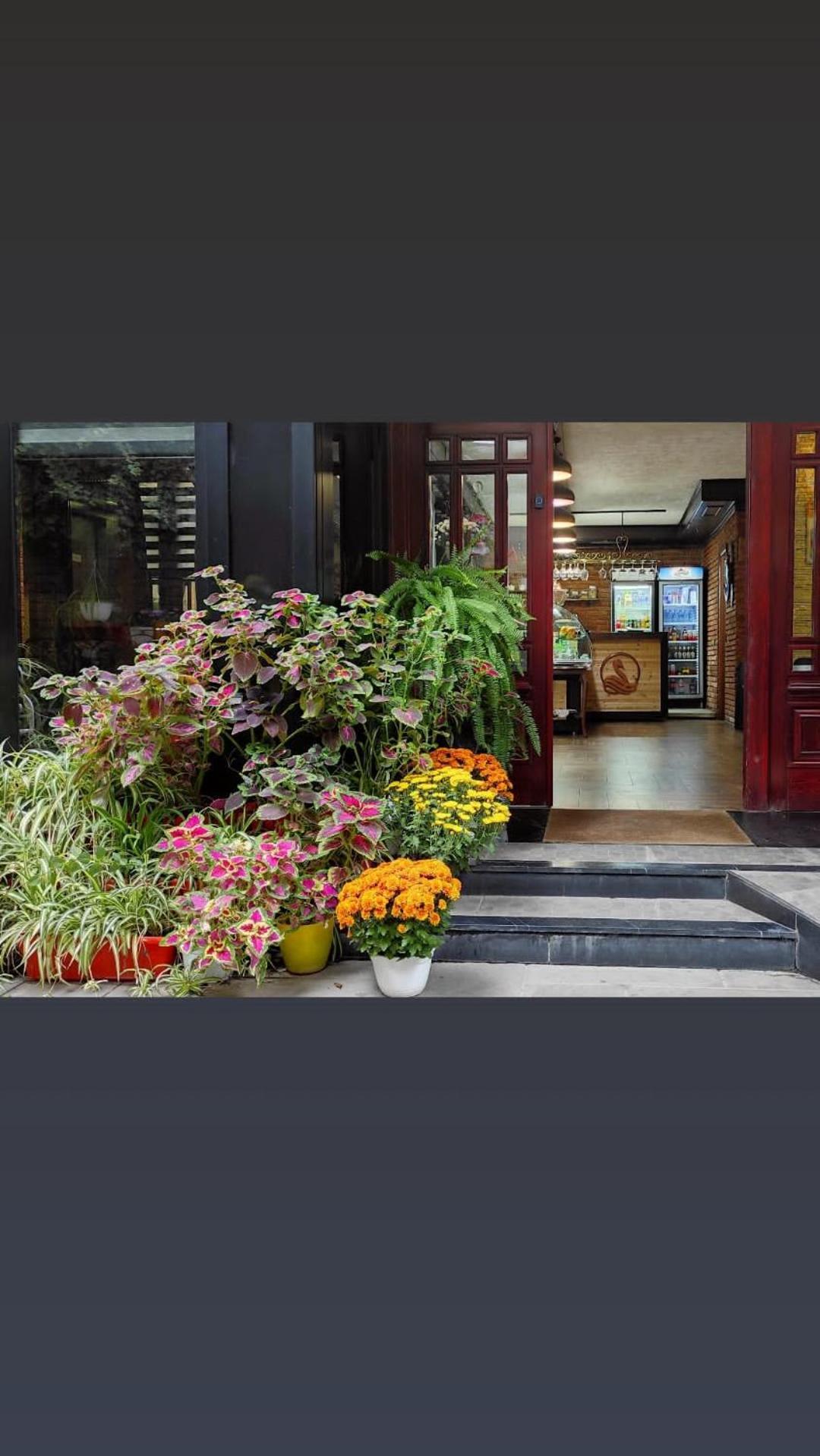 טיראנה Hotel Livia מראה חיצוני תמונה